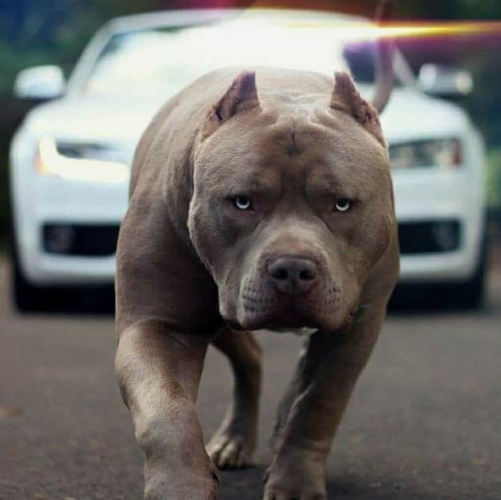 Meet your Posher, Gerald a